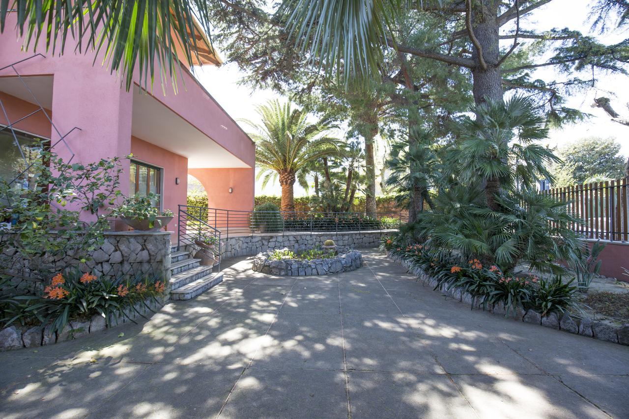 Villa Rosa Sorrento Bagian luar foto